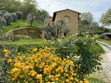 Foto Villa a Volterra in vendita