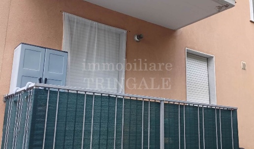 immagine annuncio 4 di 12
