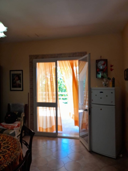 immagine annuncio 3 di 14