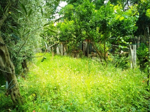 immagine annuncio 3 di 9