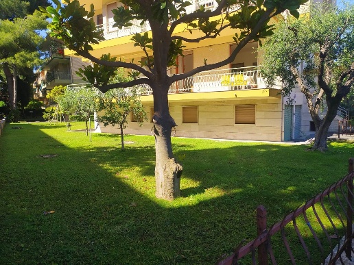 immagine annuncio 5 di 14
