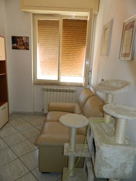immagine annuncio 9 di 12