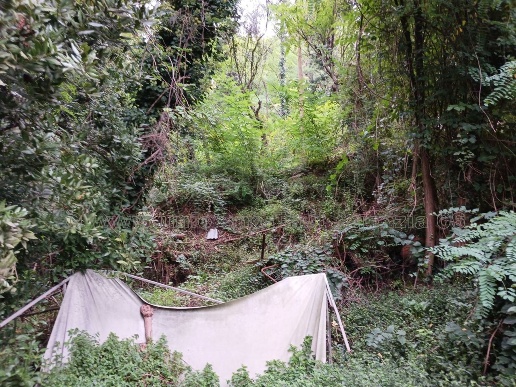 immagine annuncio 9 di 12