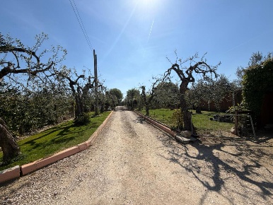 Foto Villa singola in VIALE MAIELLA, Chieti Chieti Città di 220 m²