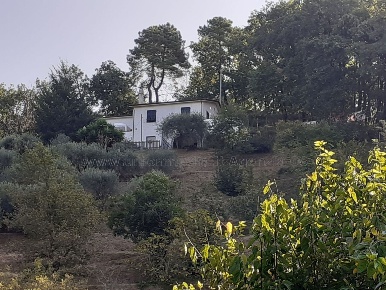 Foto Villa singola a Arcola in vendita