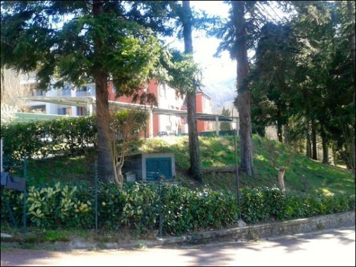 immagine annuncio 5 di 7