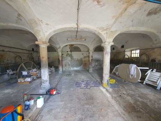 immagine annuncio 2 di 12