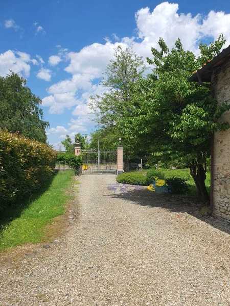 immagine annuncio 11 di 12