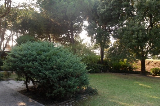 immagine annuncio 4 di 7