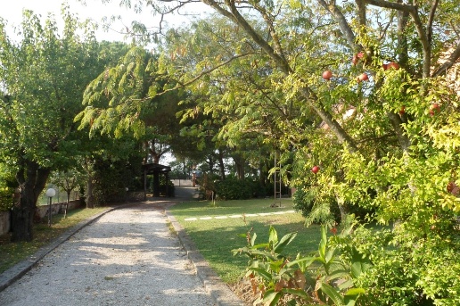 immagine annuncio 5 di 7