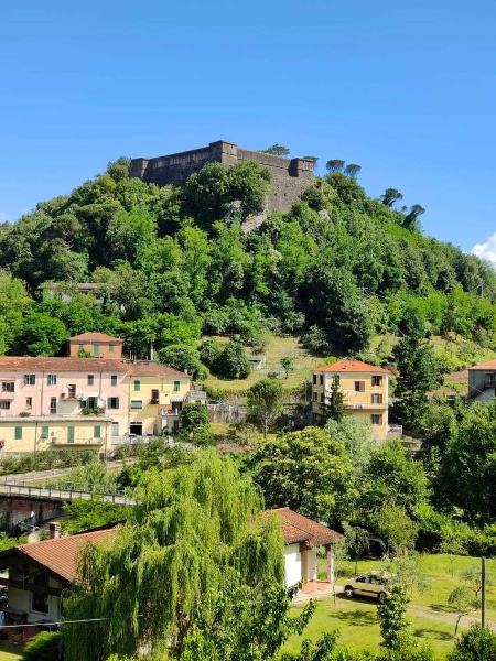 immagine annuncio 13 di 15