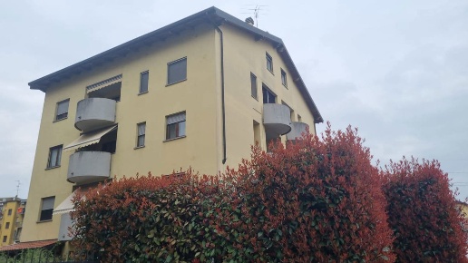 immagine annuncio 5 di 14