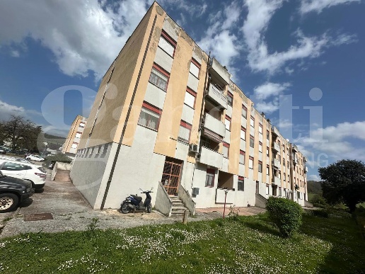 immagine annuncio 1 di 8