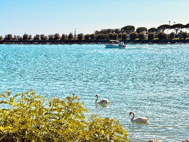 Foto Appartamento in Riva Del Varoggio, Caorle in vendita