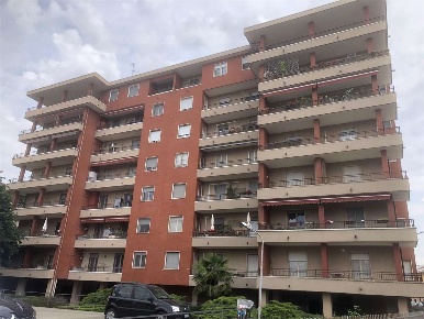 Foto Appartamento a Novara di 20 m² con 1 locali in affitto