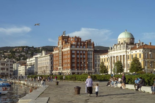 immagine annuncio 10 di 13