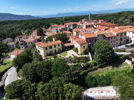 immagine annuncio 4 di 8