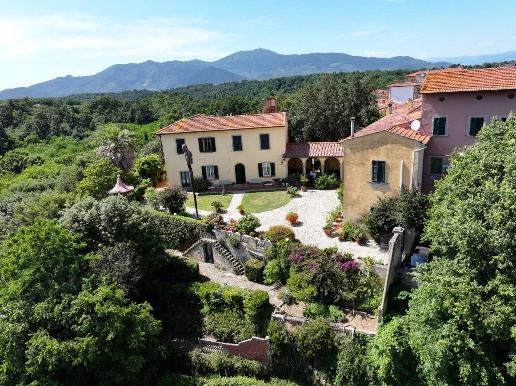 immagine annuncio 5 di 8