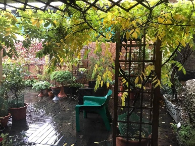 Foto Appartamento in via Pannunzio, Milano Certosa di 114 m² con 3 locali
