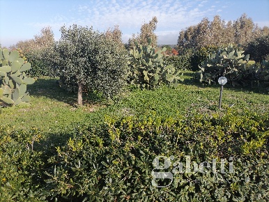 Foto Appartamento in VIALE HIMERA 7, Campofelice di Roccella in vendita