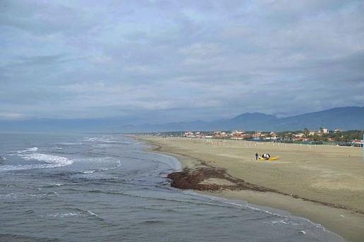 immagine annuncio 10 di 14