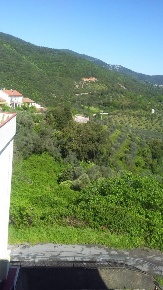 Foto Appartamento in Via Alessandrini, Gavorrano in vendita