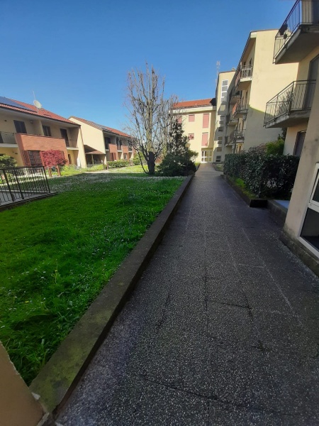 immagine annuncio 6 di 12