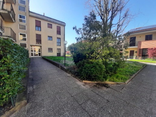 immagine annuncio 8 di 12