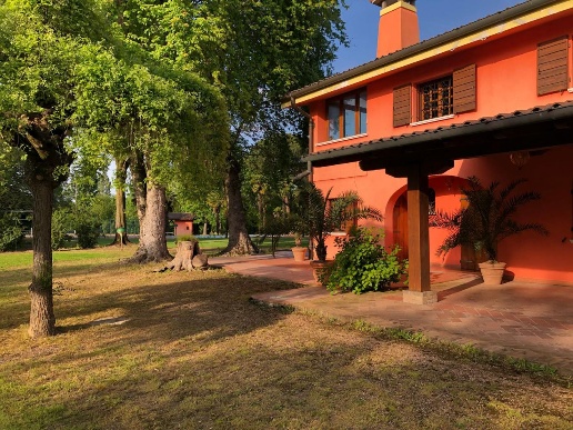 immagine annuncio 3 di 14