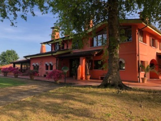 immagine annuncio 4 di 14