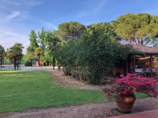 immagine annuncio 5 di 14