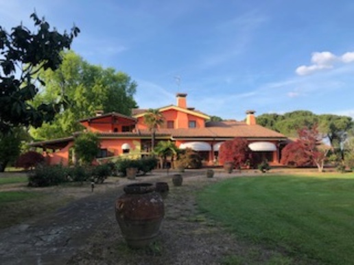 immagine annuncio 7 di 14