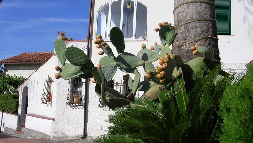 Foto Appartamento a Pietra Ligure di 43 m² con 2 locali in vendita