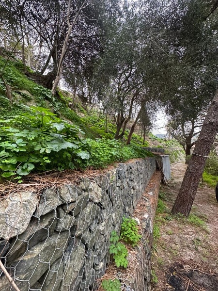 immagine annuncio 6 di 7