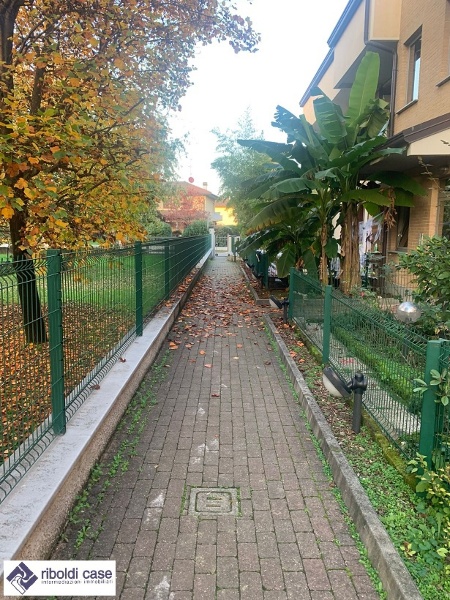 immagine annuncio 8 di 15