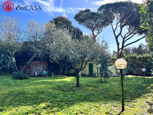 immagine annuncio 2 di 14