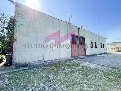 immagine annuncio 9 di 11