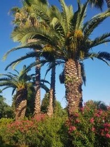 Foto Villa unifamiliare a Forte dei Marmi Caranna di 300 m² con 9 locali