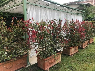 Foto Appartamento a Forte dei Marmi in affitto