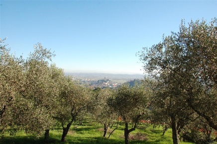 Foto Villa unifamiliare in Vicopisano via del Tinto, Vicopisano Centro
