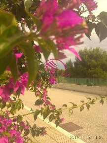 Foto Appartamento a Campomarino in vendita
