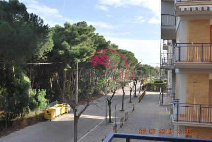 Foto Appartamento a Campomarino in vendita