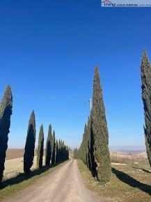 Foto Appartamento a Monteroni d'Arbia di 80 m² con 3 locali in vendita