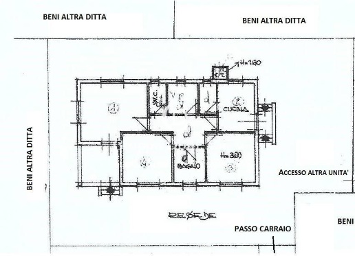 immagine annuncio 12 di 14