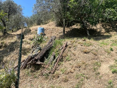 Foto Villa bifamiliare a Luni Casano Dogana Isola di 80 m² con 5 locali