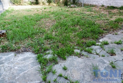 Foto Villa a schiera a Capraia e Limite in vendita