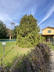 Foto Casa indipendente a Castelnuovo Magra Colombiera Molicciara di 297 m²