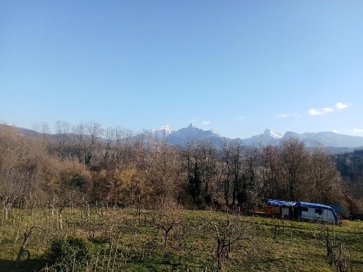 immagine annuncio 2 di 11