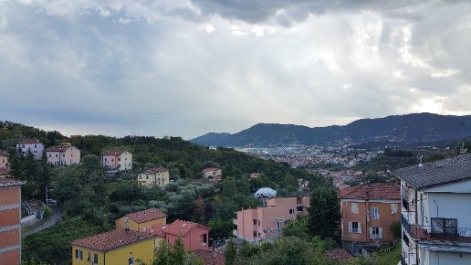 immagine annuncio 6 di 11