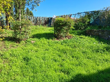 Foto Appartamento a Capraia e Limite in vendita